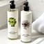 The White Horses by Everly Hotels Collection