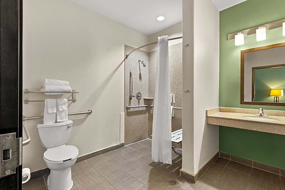 Sleep Inn & Suites Bush Intercontinental - IAH East