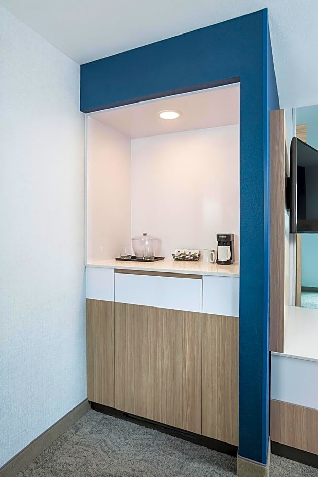 SpringHill Suites by Marriott St. Paul Downtown