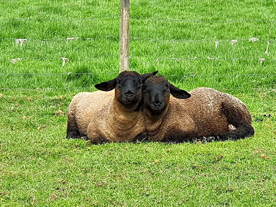 Casa de Aldea El Frade