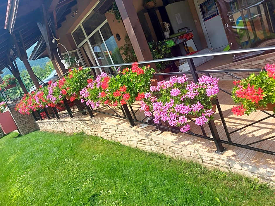 Вилен комплекс Дарибел