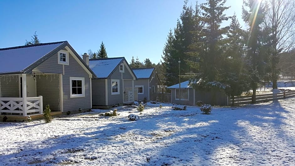 Domki w Dolinie Wieżycy