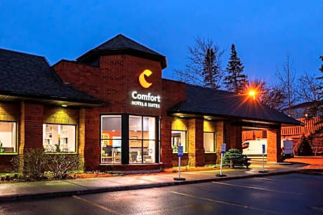 Comfort Hotel & Suites