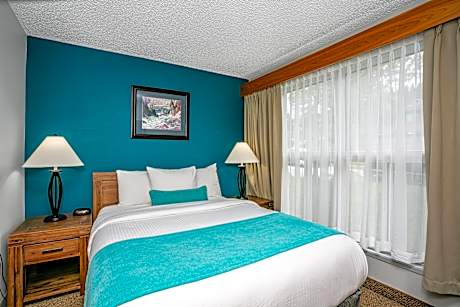 One bedroom Suite 3 beds