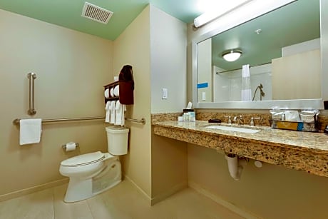 1 King Microwv/Fridge/Wet Bar Studio Suite Ns