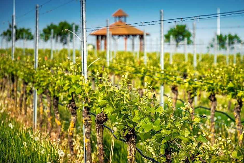 Best Western Plus Palatin Kongresshotel