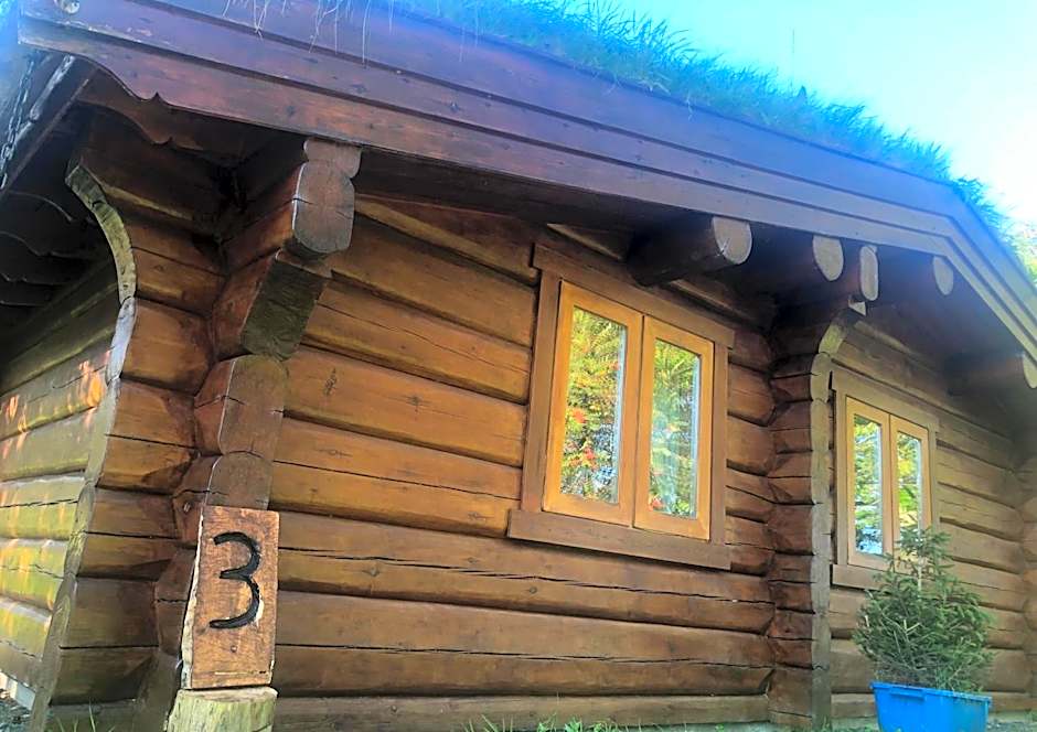 Log home village