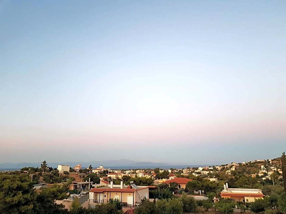 Apartments Tina FREE transfer from-to the airport