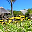 Garden Route Safari Camp