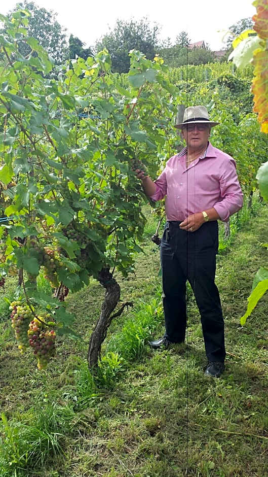 Charme - Hotel Lindenhof