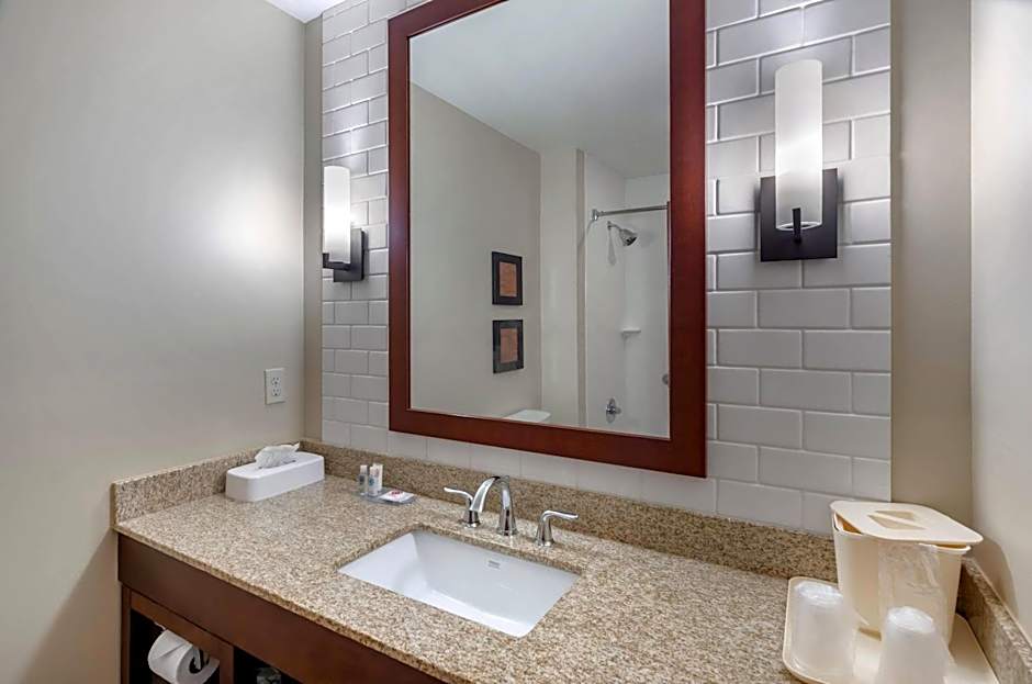 Comfort Inn & Suites Lynchburg Airport - University Area