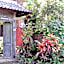 Pondok Pisces Bungalows Balian Beach