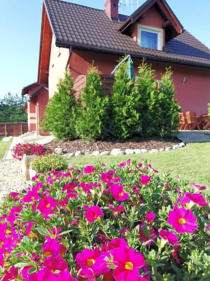 Agroturystyka "U Dyzia"