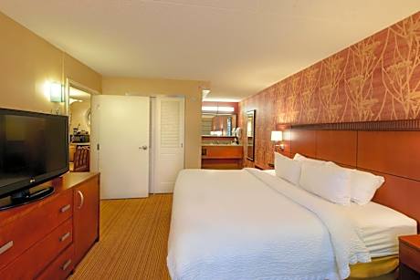 One-Bedroom King Suite with Sofa Bed