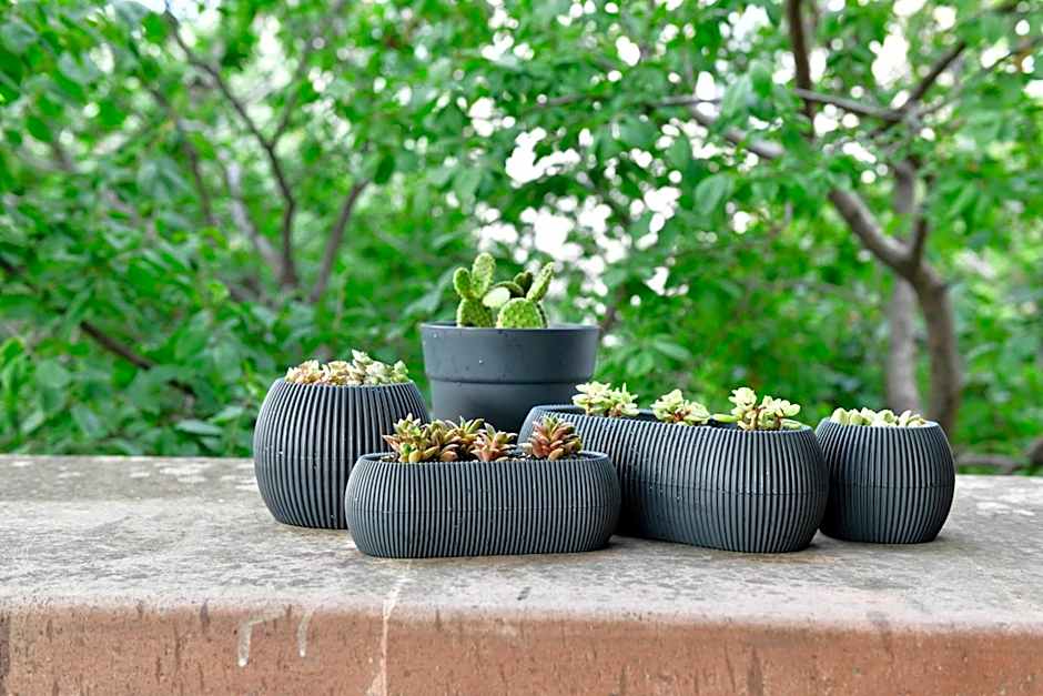 Siyah Lale Cunda 1841