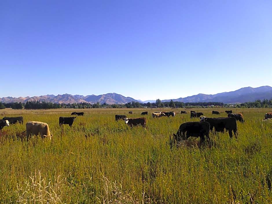 Hanmer Springs Scenic Views Motel