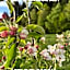Athol Country Bed & Breakfast
