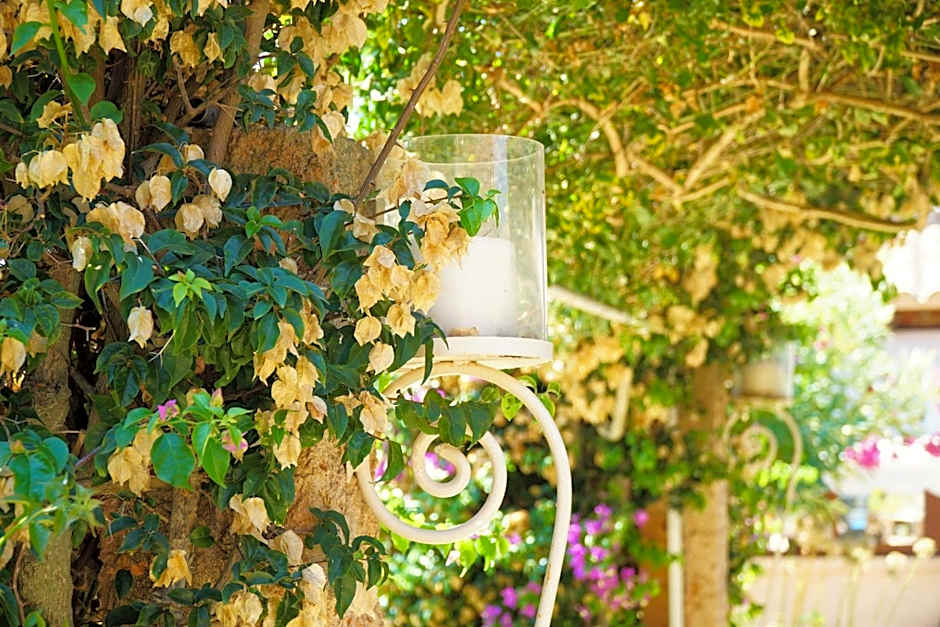 Agroturismo Finca Sa Tanca