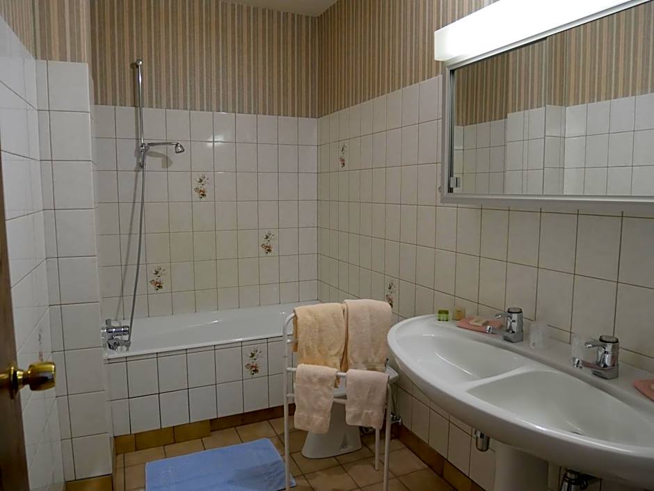 Hotel-Spa & Restaurant Logis Domaine Langmatt