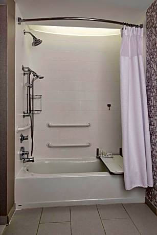 King Studio with Sofa Bed and Roll-in Shower - Mobility and Hearing Accessible