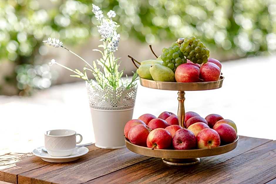 Winzerhotel Gumpoldskirchen