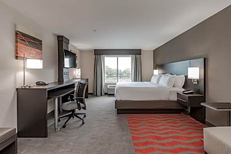 King Room - Mobility Access/Hearing Accessible