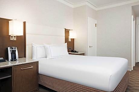 1 Queen Bed Guestroom