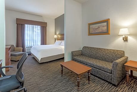 1 KING BED SUITE NONSMOKING