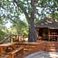 Lion Tree Top Lodge