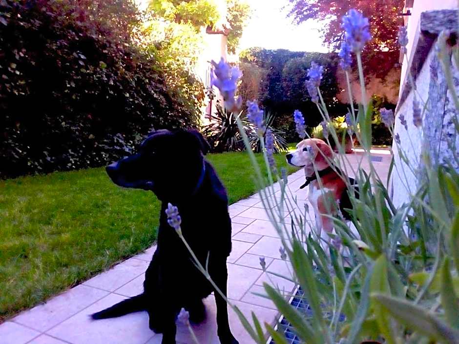 Al Giardino degli Artisti