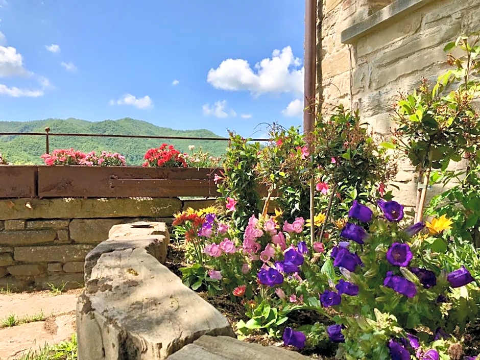Agriturismo Biologico Castello Della Pieve