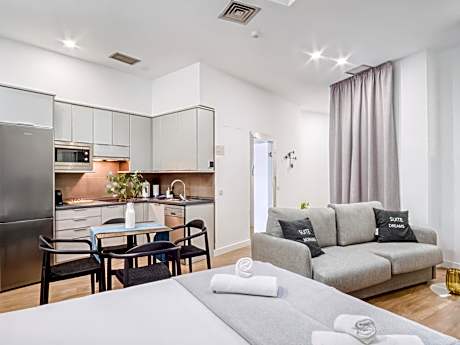 Studio - Skylight Window