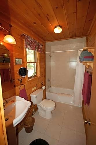 Mountain Springs Cabins