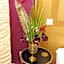 Hotel Garni Kluth