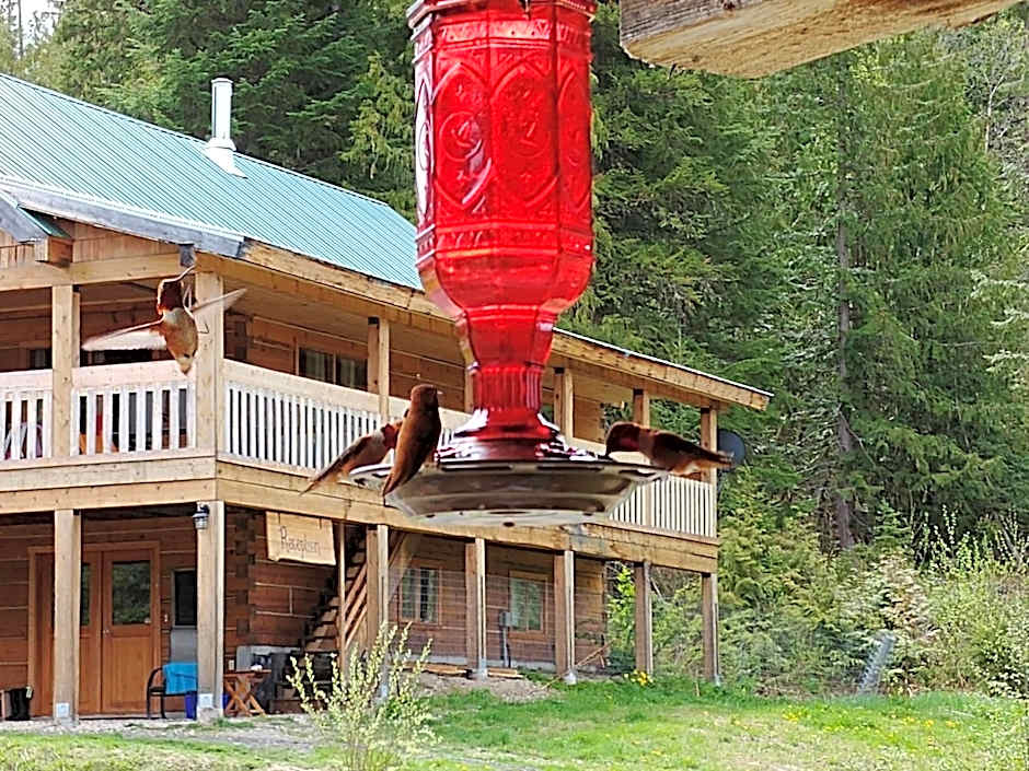 Wolfwood Guest Ranch