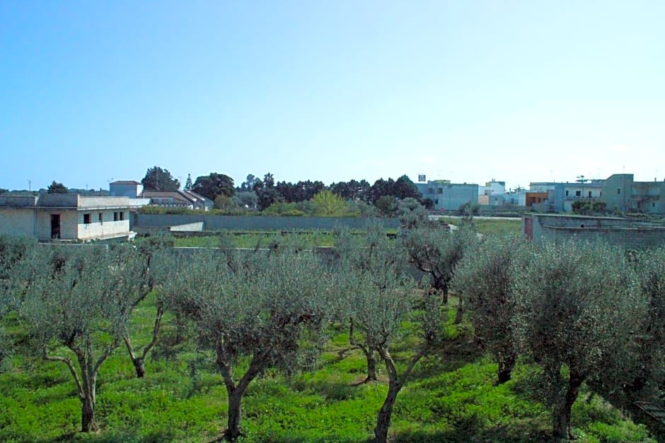 Piccolo Ulivo B&B Salento