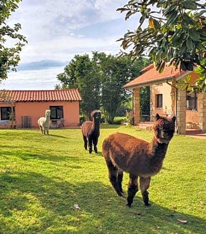 Hotel 3 Alpacas