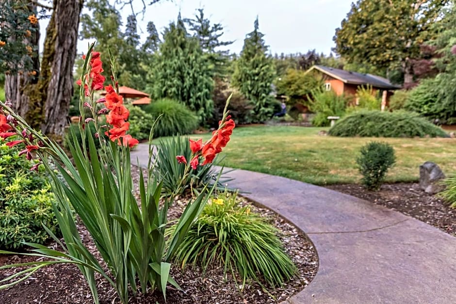 Carson Ridge Luxury Cabins