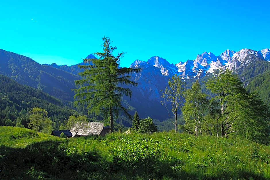 Rooms Pevc & Hostel Ljubno ob Savinji