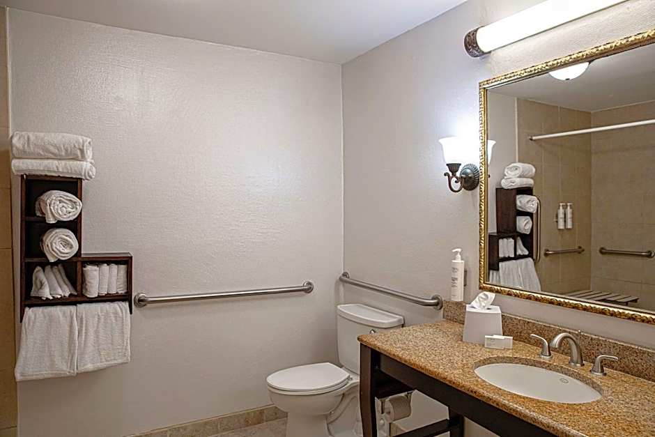 Hampton Inn By Hilton Charleston-Historic District