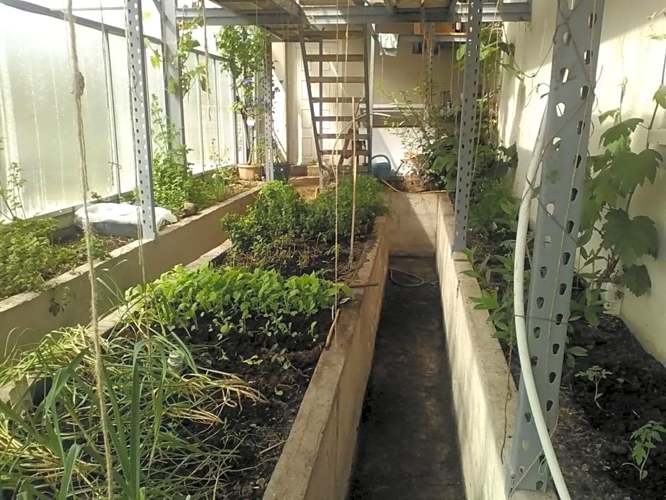 The Little Flock Farm