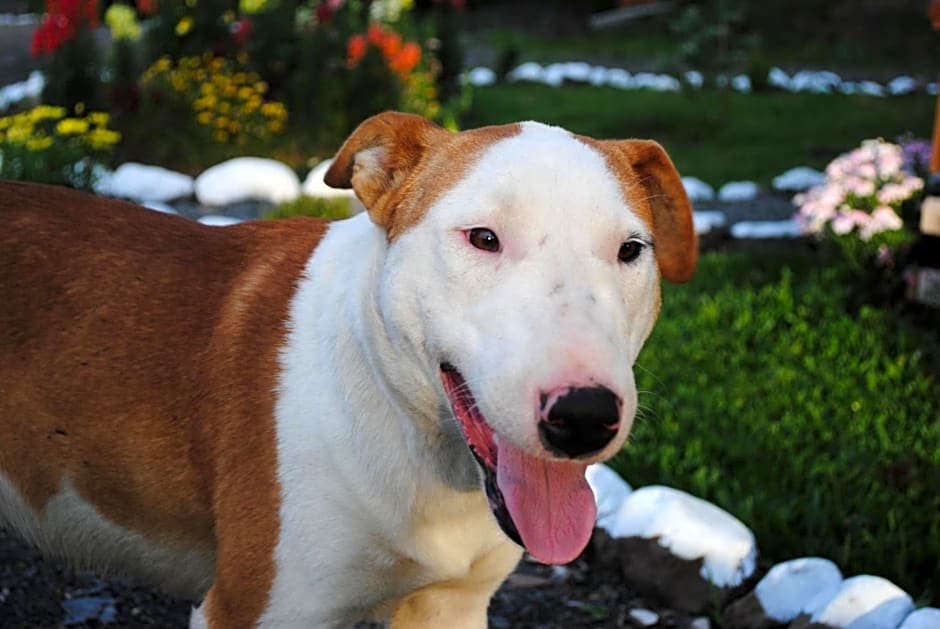 Pousada Mato Verde - Urubici - SC