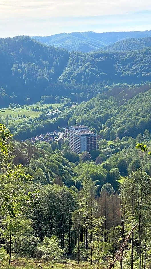 Familien Apartmenthotel Panoramic