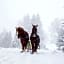 Waldorf Astoria By Hilton Park City