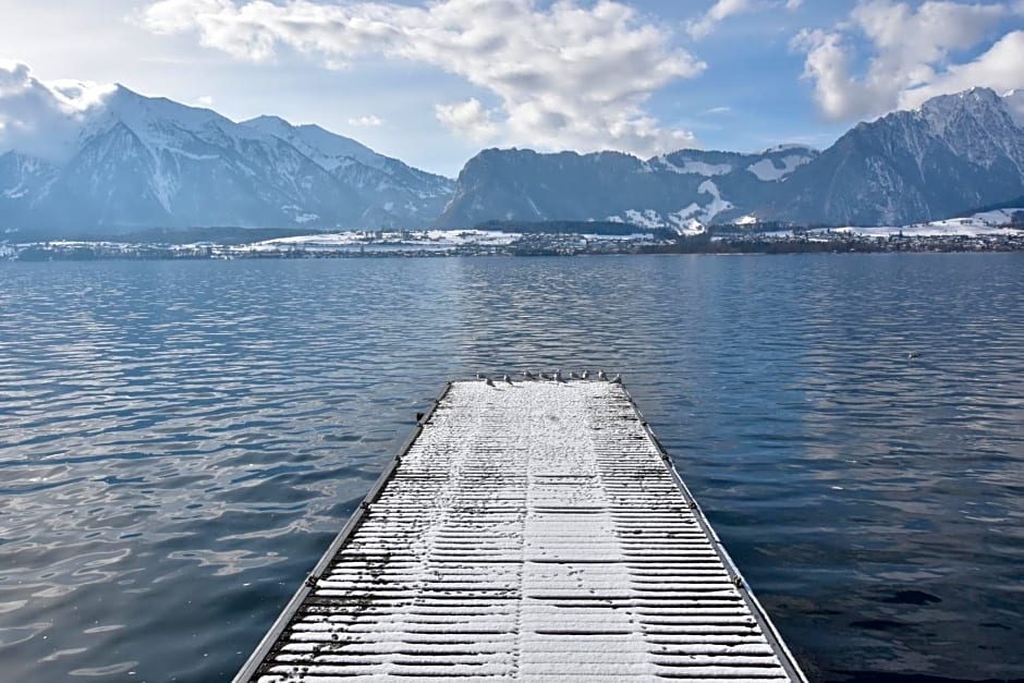 Dependance Stella del Lago by Hotel Restaurant Bellevue au Lac