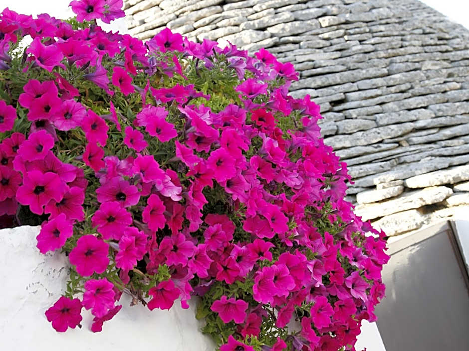 Mountain House Villa