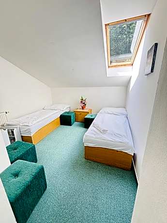 Budget Double or Twin Room