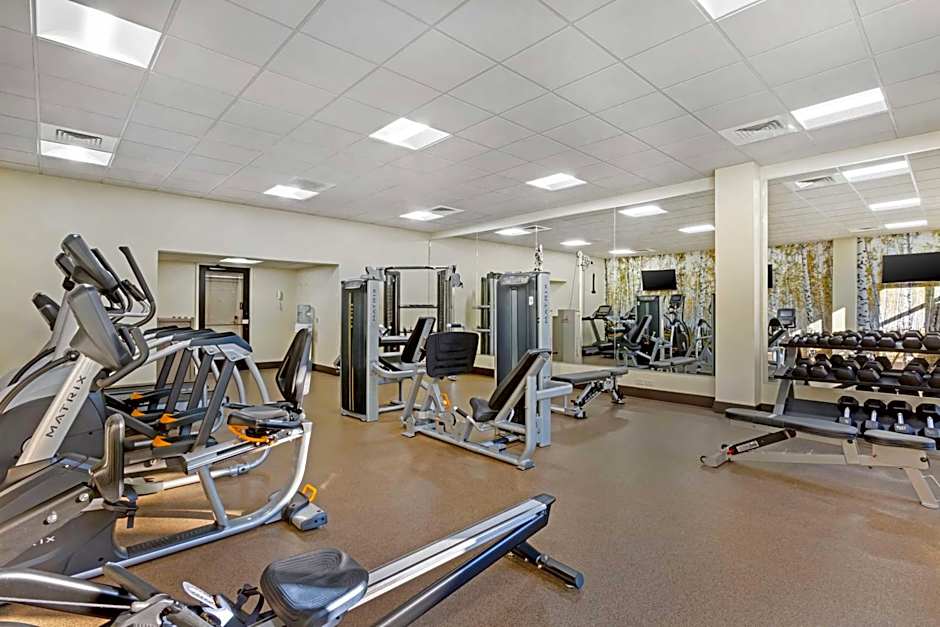 Best Western Plus Gran Tree Inn