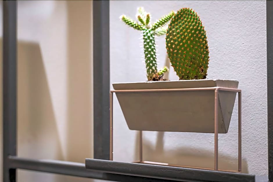 Sun Ray Luxury Aparthotel