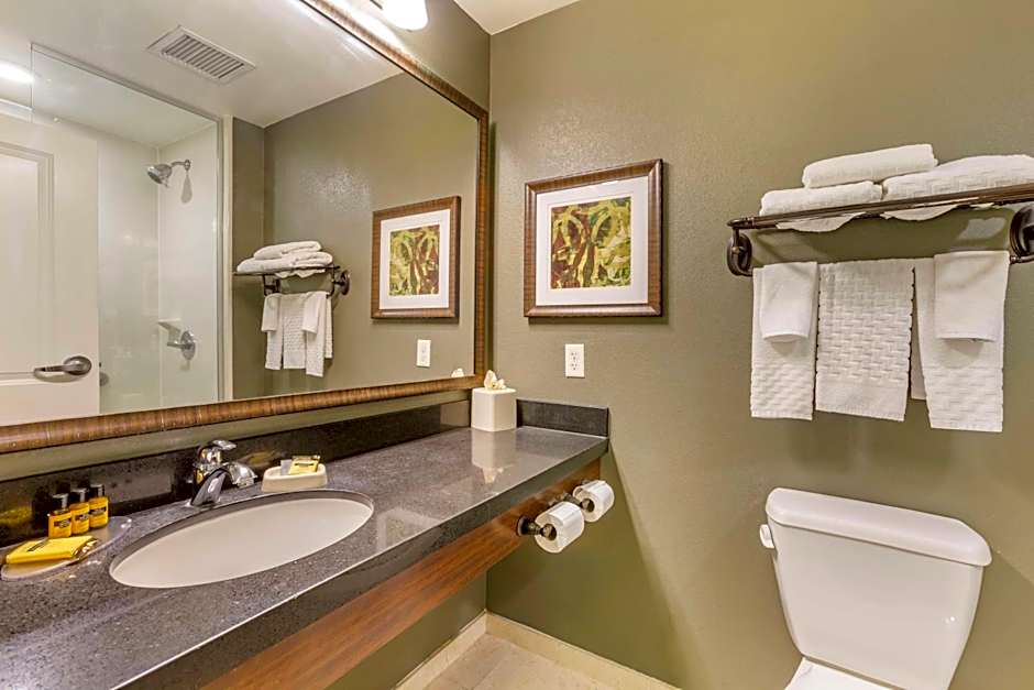 Best Western Plus Chandler Hotel & Suites